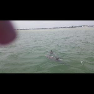 Meet your Posher, Stacie